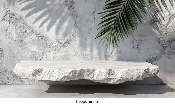 Modern Minimalist Gray Stone Display Stand with Natural Shadow