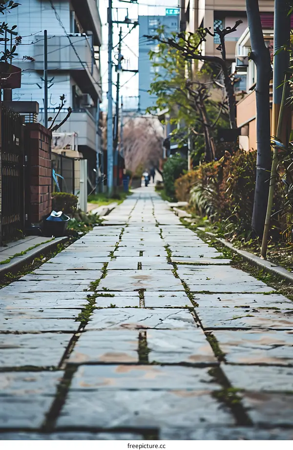 Cobblestone Path in a Narrow Japanese Alleyway