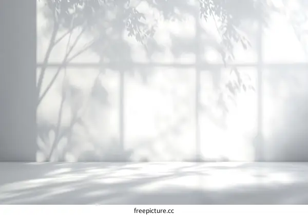Elegant White Room with Shadow Play