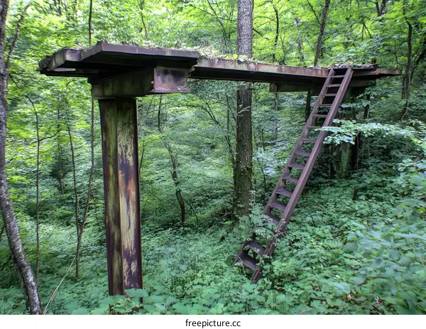 Old Rusty Platform with Ladder in Forest