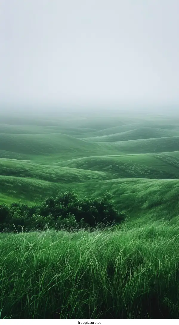 Green Rolling Hills Under White Sky