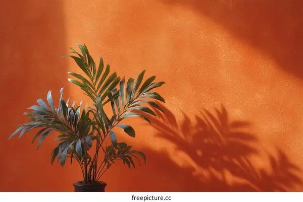 Orange Wall with Plant Shadow