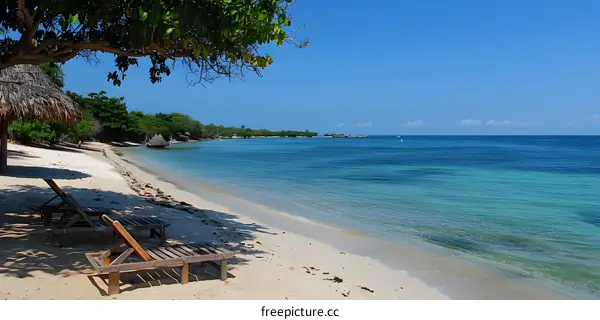 Two wooden beach chairs on a sandy beach with palm trees and blue ocean in the background