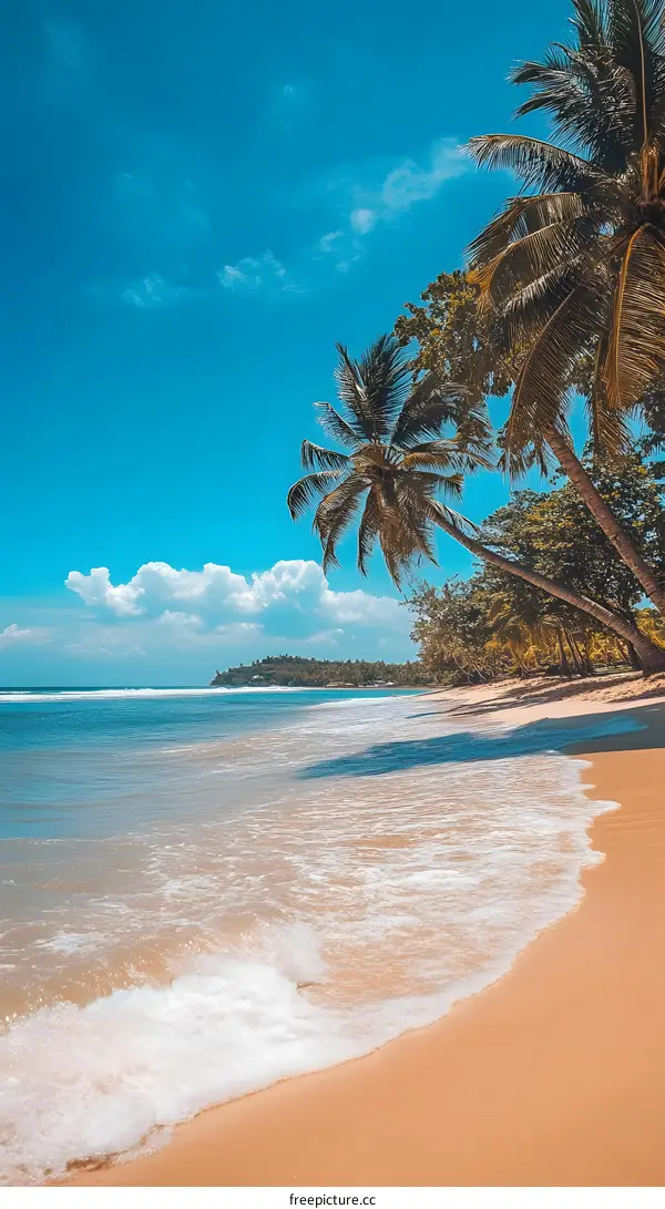 Tropical Beach Scene with Palm Trees and Blue Sky