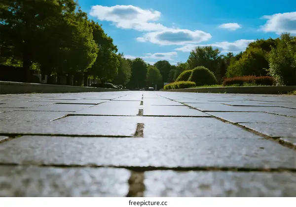 Sunlit paved path with trees and clear sky in the background