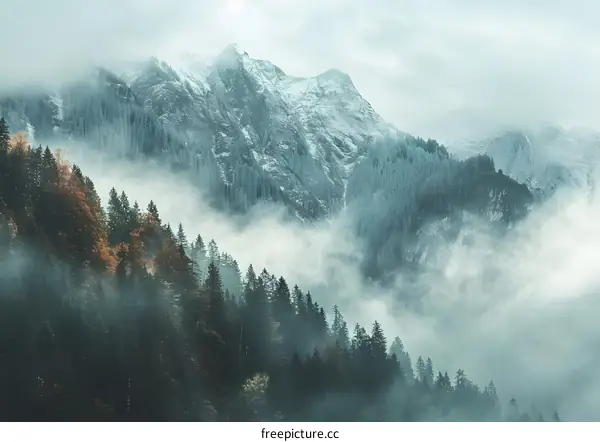 Misty Mountain Landscape with Snow Covered Peaks and Evergreen Trees
