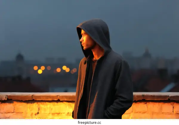 Urban Silhouette at Dusk