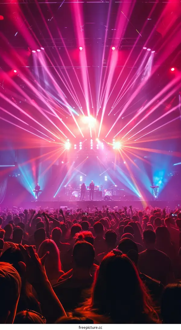 Stage lights and crowd at a concert