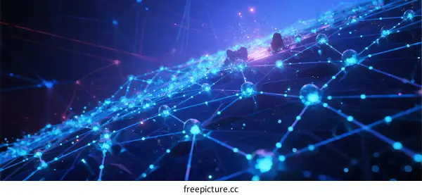 Network Connections and Data Flow in Digital Communication