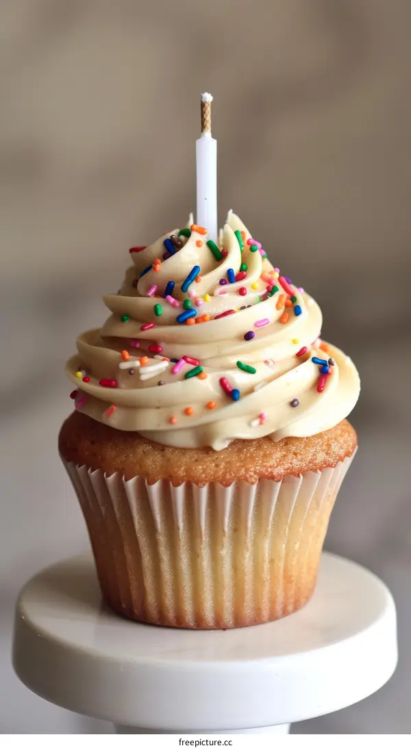 Vanilla cupcake with sprinkles and a single candle