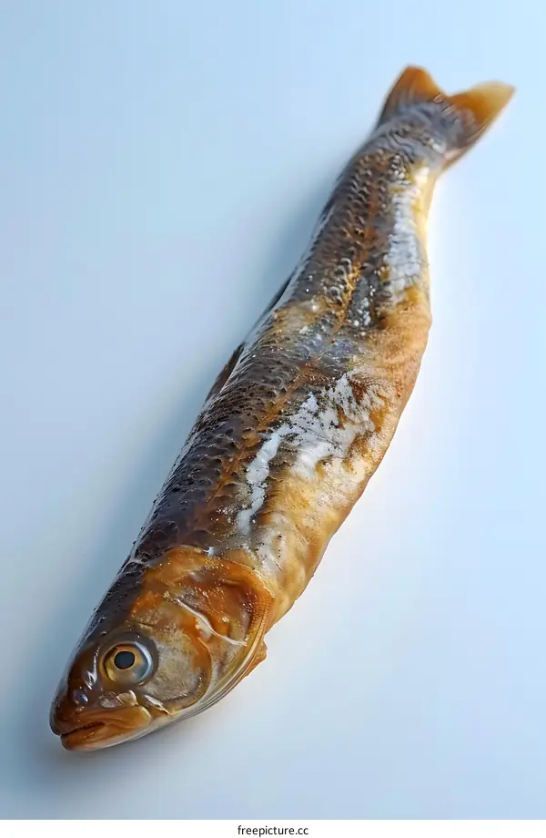 Dried Fish on White Background