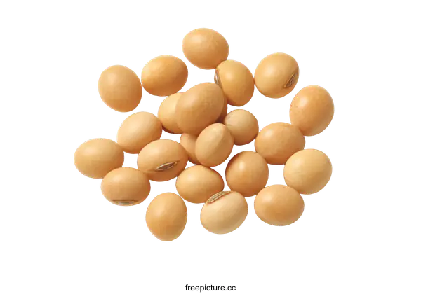[Transparent Background PNG]Soybeans Close-Up Food Photography