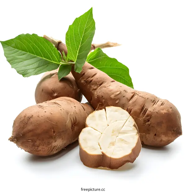Fresh Yam Bean with Leaves Isolated on White Background