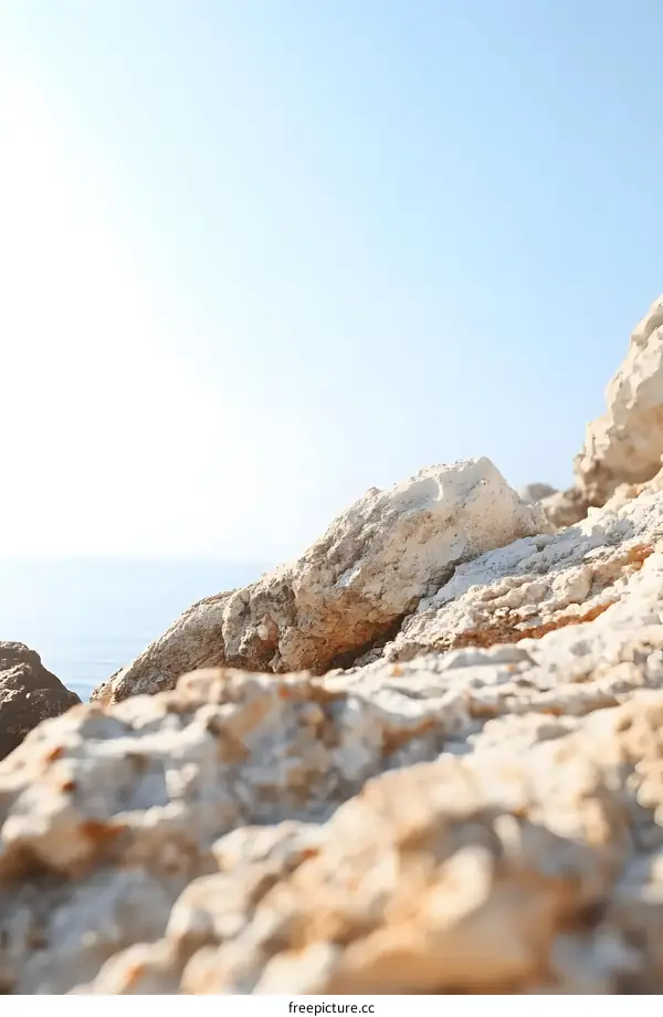 Close Up Of Rocks On A Sunny Day