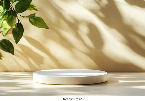 Elegant Empty Display Podium Under Sunlight