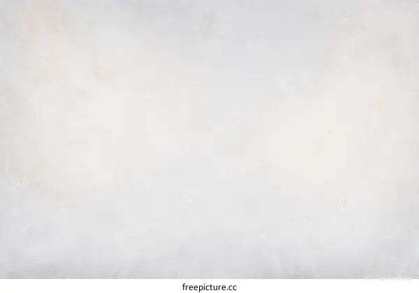 Light Gray Textured Background Image