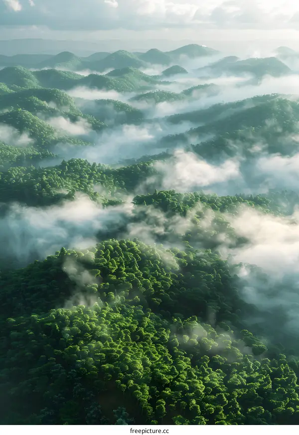 The mountains and the clouds
