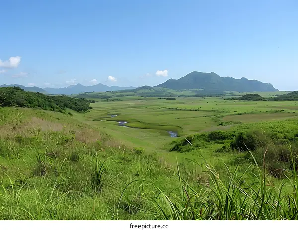 Beautiful green hills and blue sky with white clouds