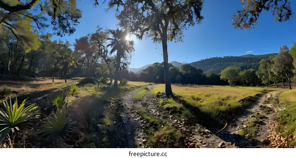 Two Dirt Roads Leading to Mountain View