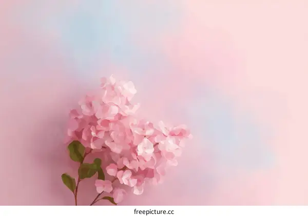 Delicate Pink Flowers on a Pastel Background