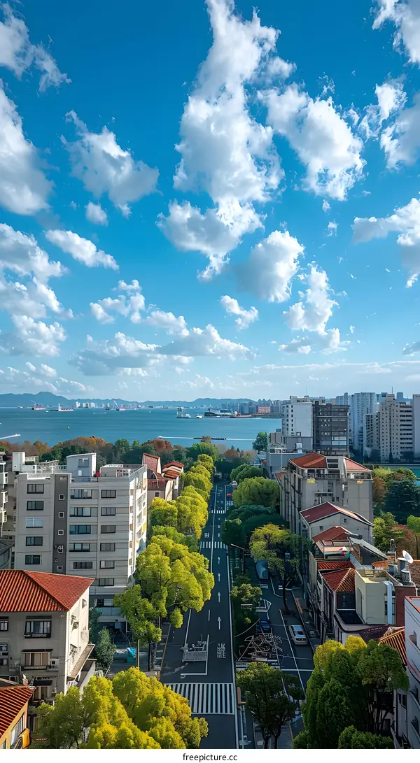 Aerial View of a City Street with Buildings and Trees