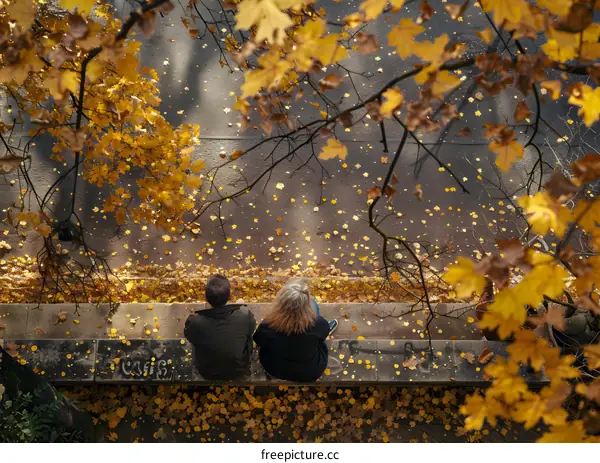 Couple Sitting on a Bench Underneath a Tree in Autumn