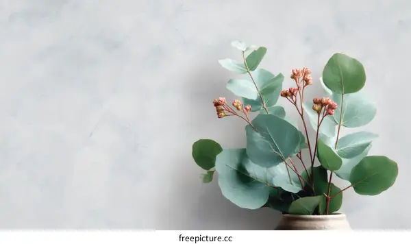 Eucalyptus Branches on Marble Background