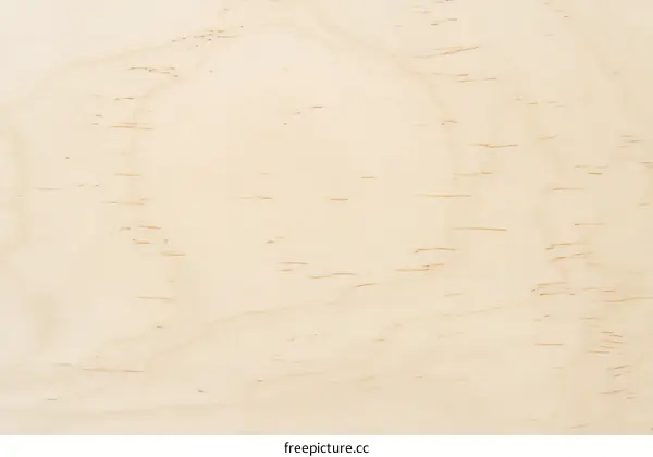Closeup of Light Beige Wood Grain Texture