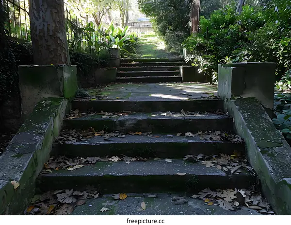 stone steps in a lush green park