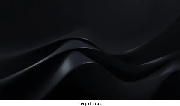 Abstract Black Wave Pattern Design