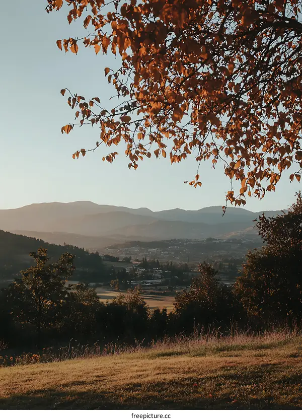 Fall Foliage Overlooking a Mountain Valley