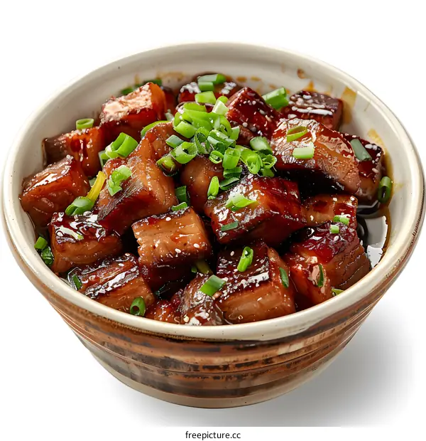 Bowl of Braised Pork Belly