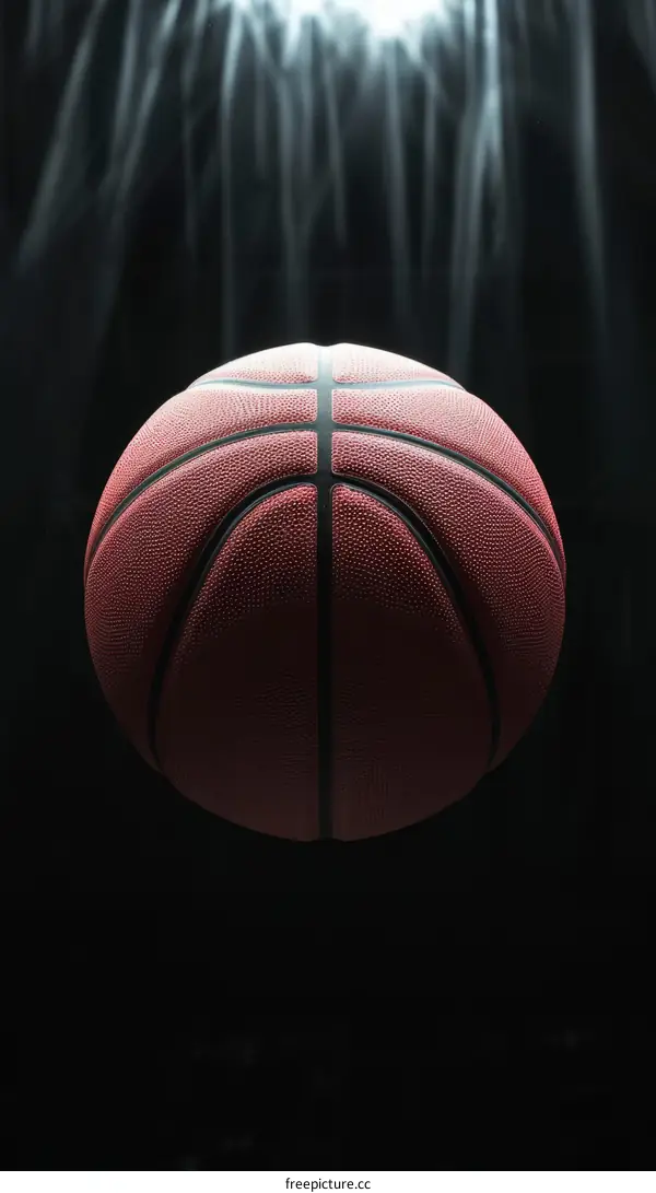 Basketball in the spotlight