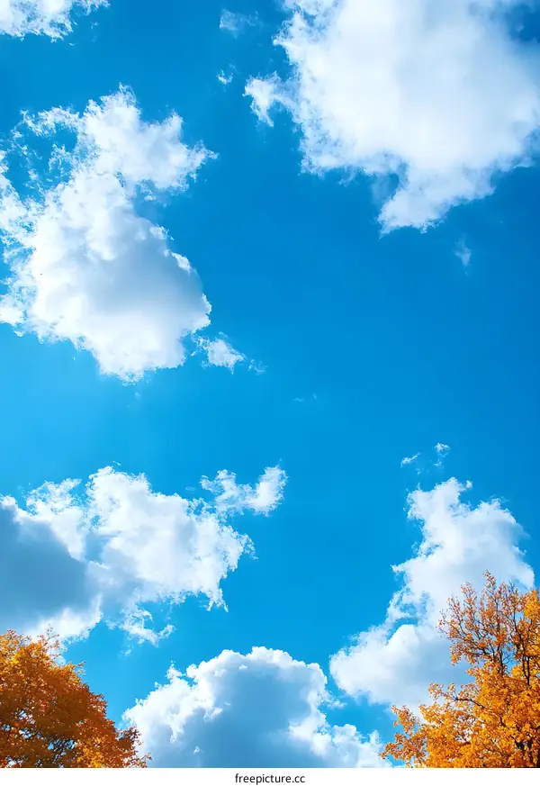 Blue Sky and White Clouds with Tree Branches