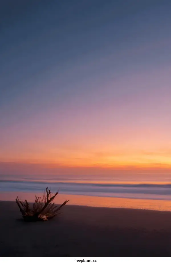 Beautiful Sunset on the Beach with Driftwood