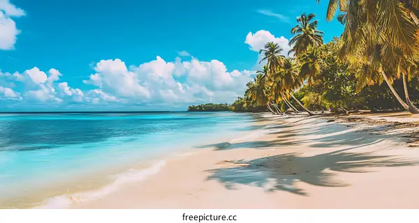 Tropical Beach with Palm Trees and Blue Sky
