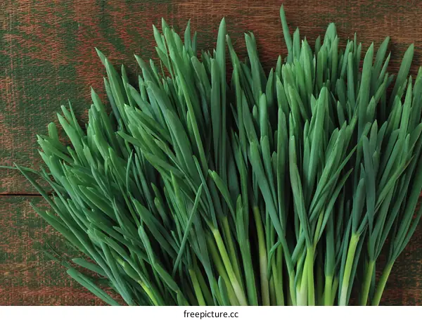 Fresh Green Herbs on Wooden Background