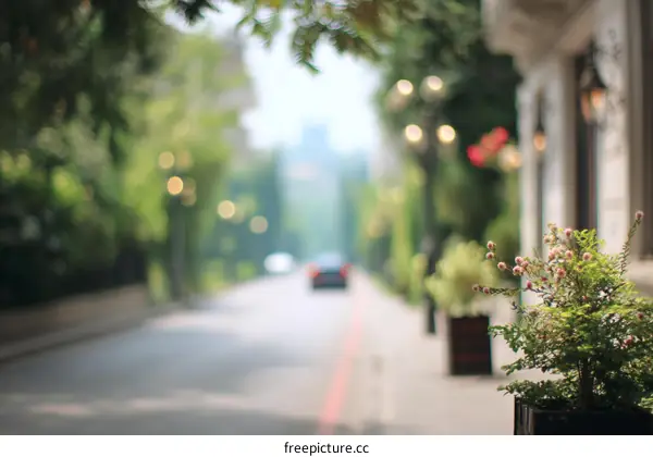 Blurred City Street with Lush Green Plants