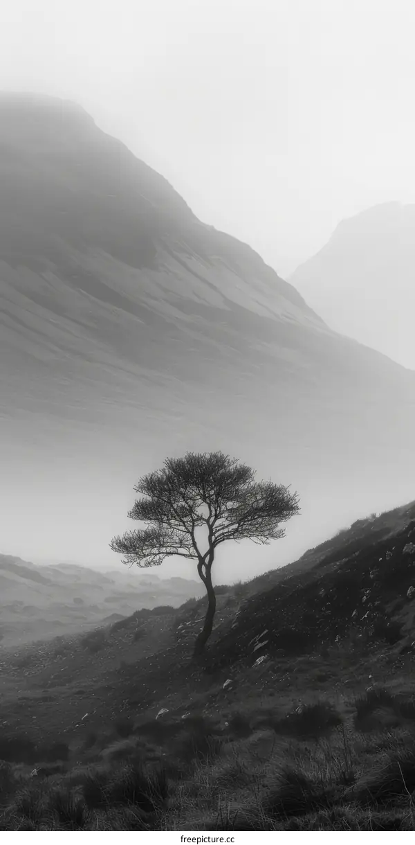 Black and white photo of a lonely tree on a hillside with mountains in the background