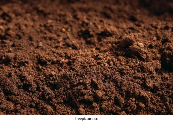 Close Up of Rich Brown Soil