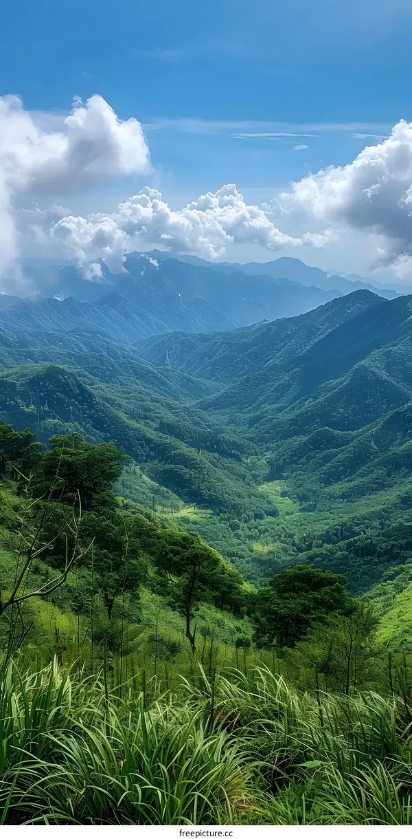 Mountains and clouds