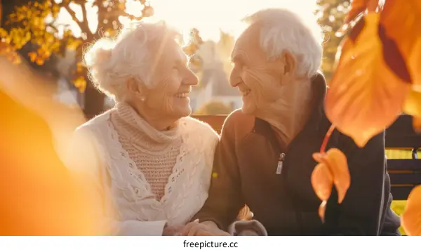 Elderly couple sitting on a bench in the park
