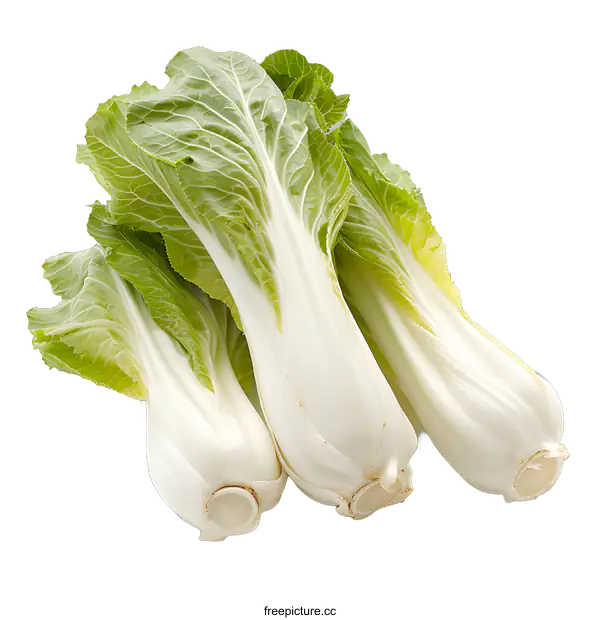 [Transparent Background PNG]Fresh Bok Choy on White Background