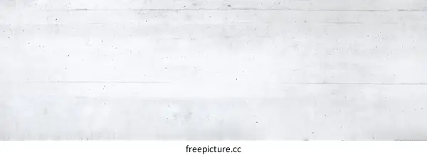 Plain Light Gray Concrete Wall Texture