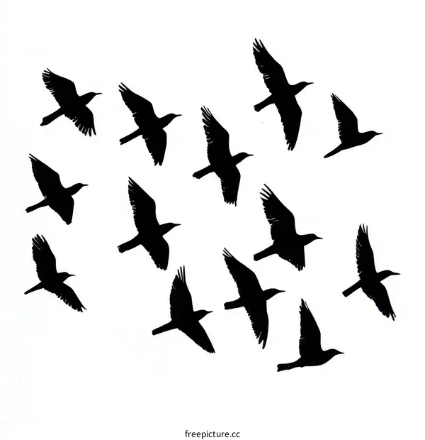 Birds Silhouette Pattern Design
