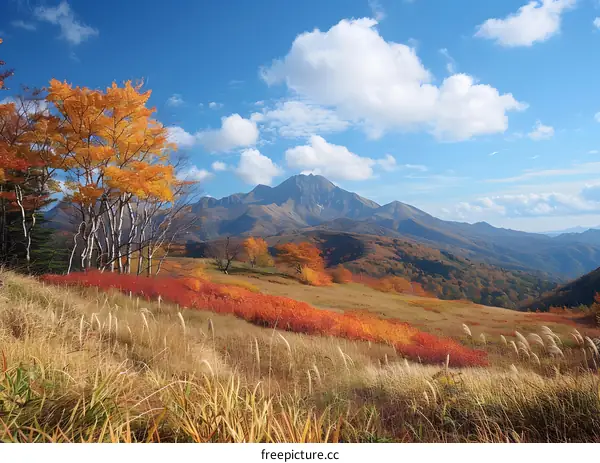 Mount Asma seen from the summit of Mount Kurofu