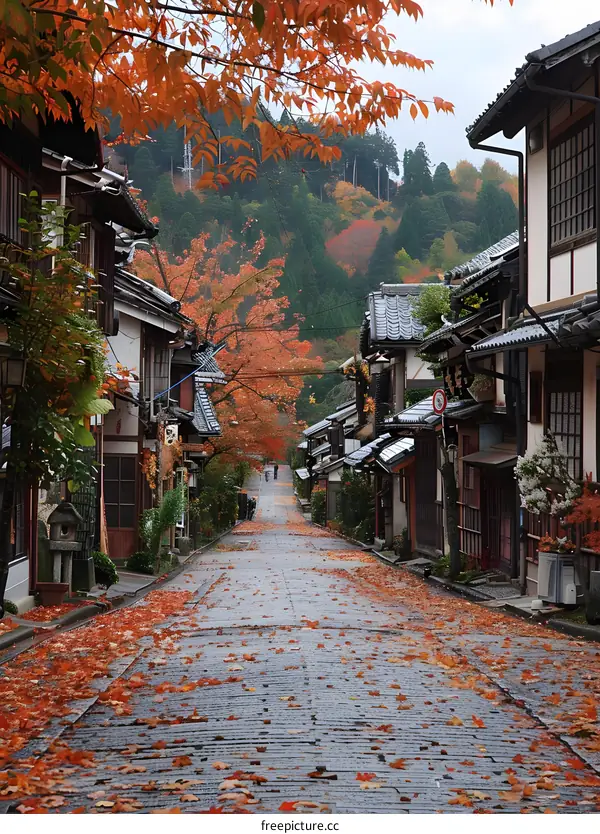 Autumn Leaves on the Street in Japan
