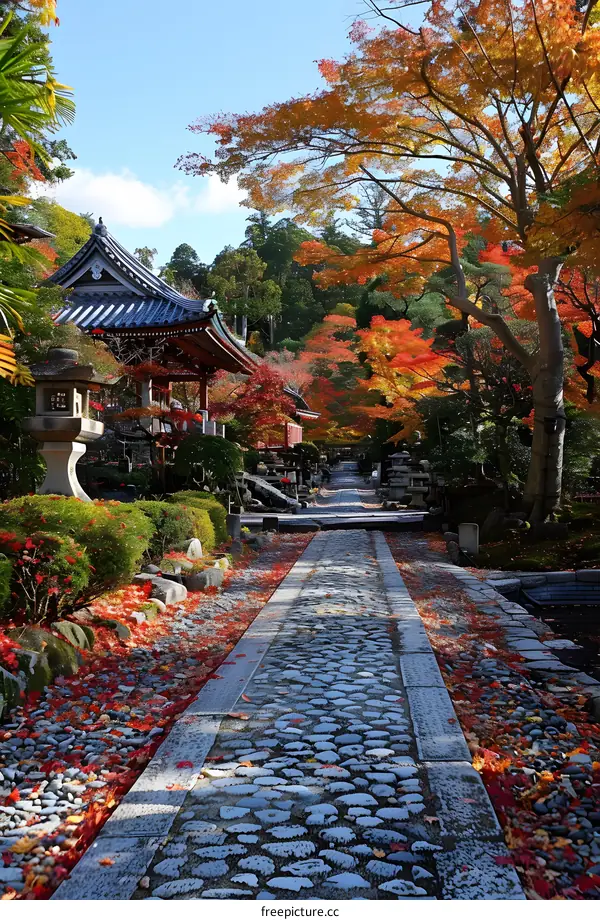 A path covered with fallen leaves in a Japanese garden