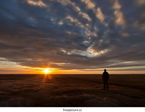 Silhouette of a Man Watching the Sunset Over a Field