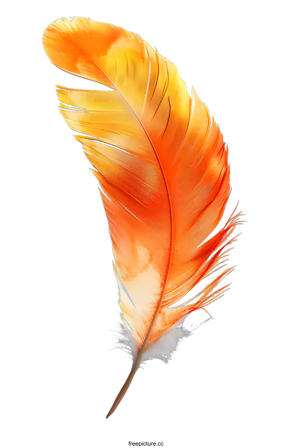 [Transparent Background PNG]A Single Orange Feather Isolated on White